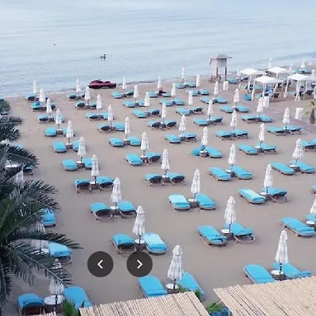 فيلة Stela Mare *